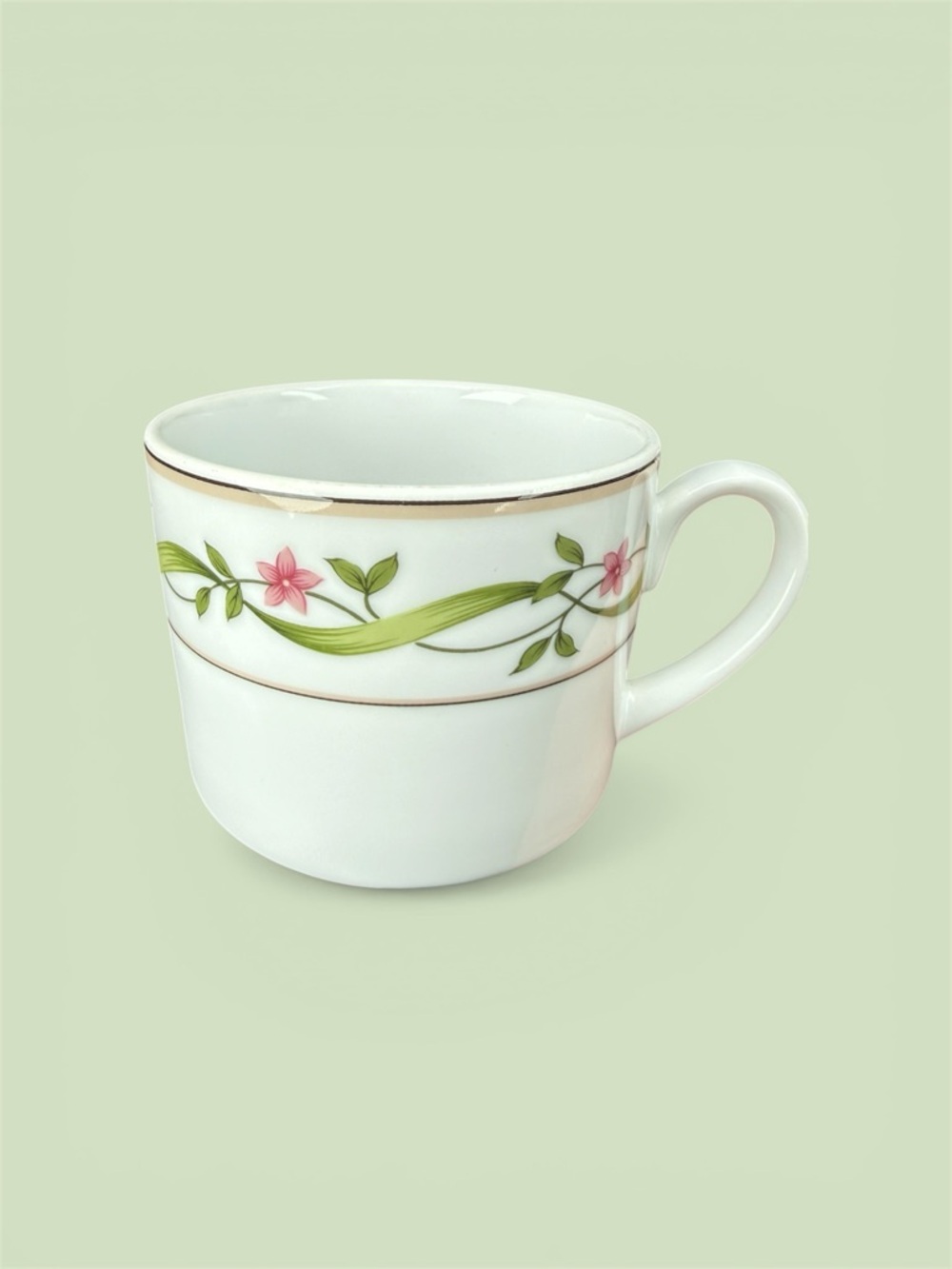 Studio Nova White Teacup with Pink Floral & Green Vine Band